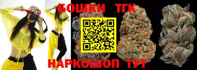 индика Коммунар