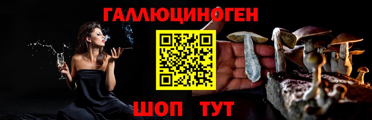 Псилоцибиновые грибы ЛСД  где можно купить наркотик  Кострома  Вход с VPN  Галлюциногенные грибы Cubensis 